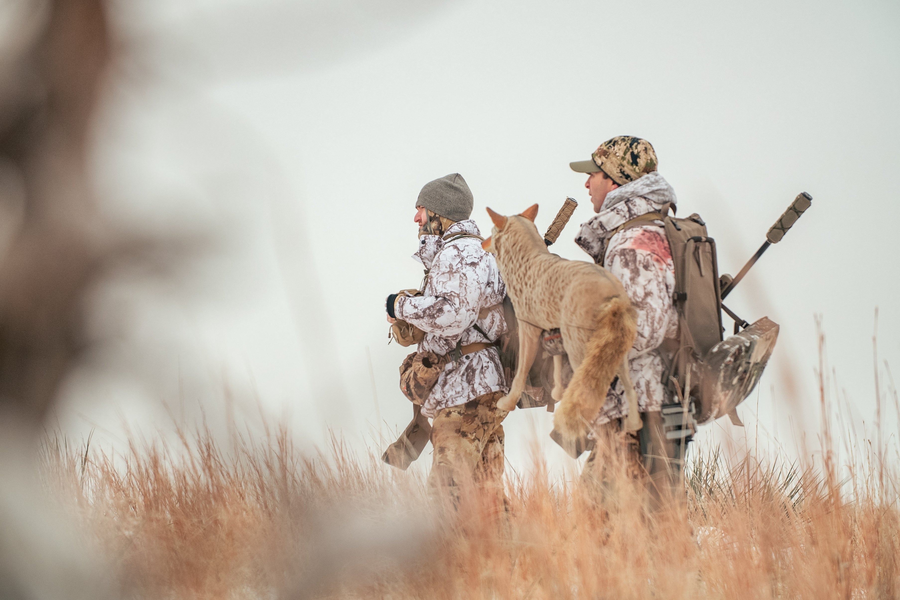 Wind Calling Predators Mastering Predator Calling: An In-Depth Guide for Successful Hunts ...